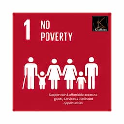 SDG 1.1 - No Poverty
